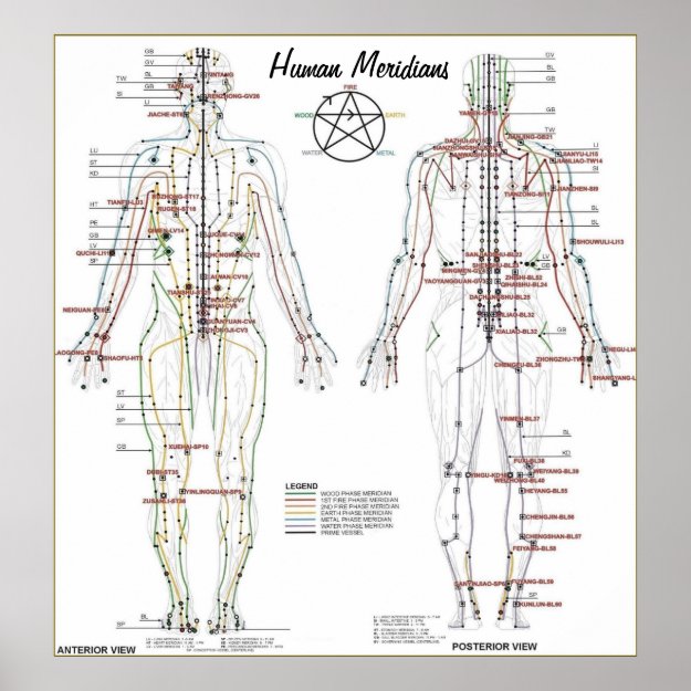 Human Meridians & Pressure Point Chart Poster