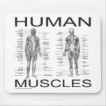 Human Muscles and Anatomy Mouse Pad