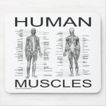 Human Muscles and Anatomy mousepads