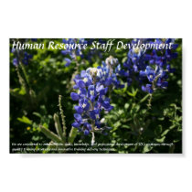Human Resource Staff Development Blue Bonnets posters