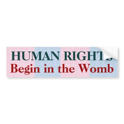 "Human Rights" Bumper Stickers by cowboyannie