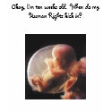 "Human Rights" by Theresa Hartman t-shirts