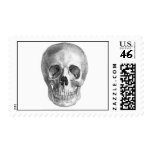 Human skull anatomy sketch drawing stamps