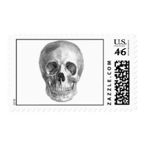 Human skull anatomy sketch drawing stamps
