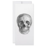 Human skull anatomy sketch drawing rack card design