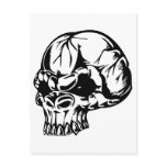 Human Skull Postcard