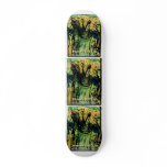 HUMAN STILL LIFE SKATE BOARDS