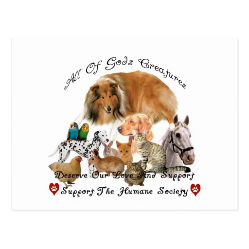 Humane Society All God's Creatures Animal Support Post Card