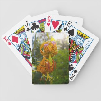 Humboldt Lilies Sunburst Card Decks