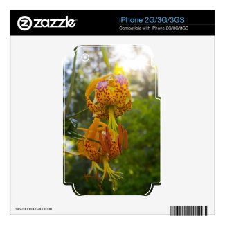Humboldt Lilies Sunburst Decal For The Iphone 3gs