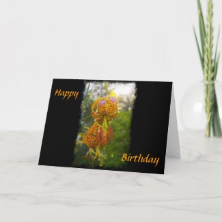 Humboldt Lilies Sunburst Greeting Card