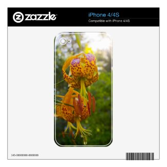 Humboldt Lilies Sunburst Iphone 4s Skins