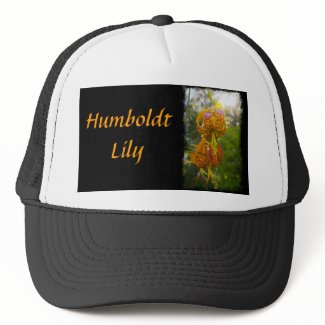 Humboldt Lilies Sunburst Mesh Hats