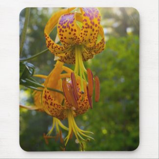 Humboldt Lilies Sunburst Mousepad