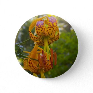 Humboldt Lilies Sunburst Pin