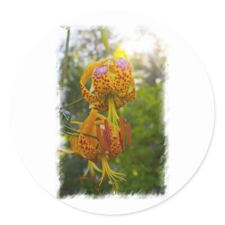 Humboldt Lilies Sunburst Round Sticker