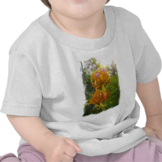 Humboldt Lilies Sunburst T Shirts