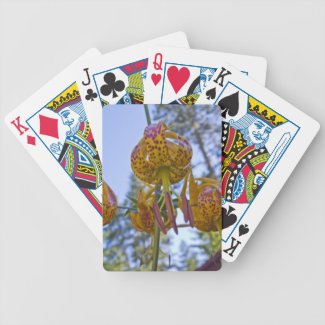 Humboldt Lily Deck Of Cards