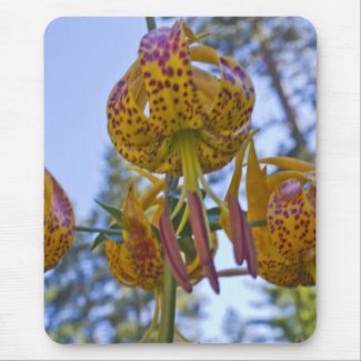 Humboldt Lily Mousepads