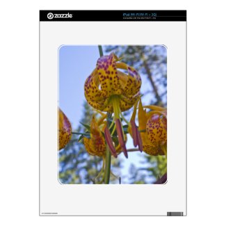Humboldt Lily Skins For Ipad