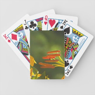 Humboldt Lily Stamens Bicycle Poker Cards