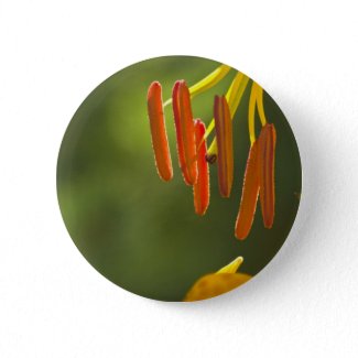 Humboldt Lily Stamens Button
