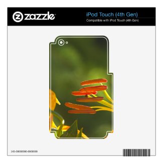 Humboldt Lily Stamens Decal For Ipod Touch 4g