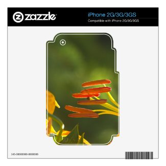 Humboldt Lily Stamens Decals For Iphone 2g