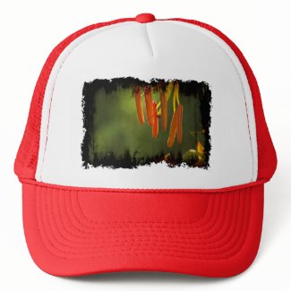 Humboldt Lily Stamens Hats