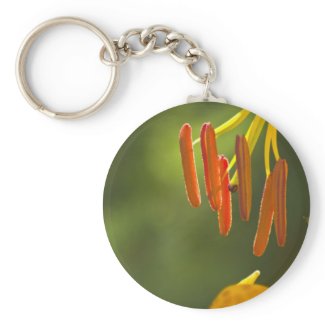 Humboldt Lily Stamens Key Chain