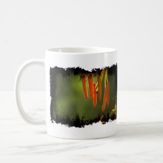 Humboldt Lily Stamens Mugs