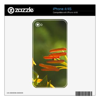 Humboldt Lily Stamens Skin For The Iphone 4s