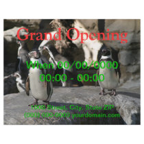 Humboldt Penguin Full Color Flyer
