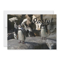 Humboldt Penguin Custom Invitations