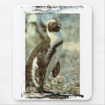 Humboldt Penguin Mouse Pad
