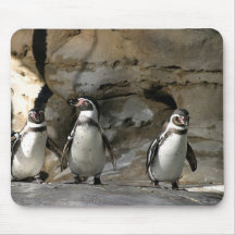 Humboldt Penguin Mouse Pad