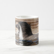 Humboldt Penguin Mug