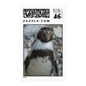 Humboldt Penguin postage