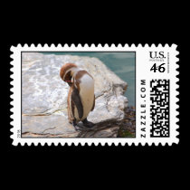 Humboldt penguin stamps