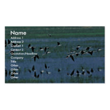 Humbolt Bay National Wildlife Refuge Business Card