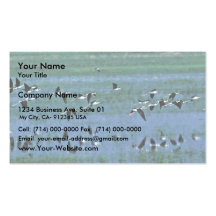 Humbolt Bay National Wildlife Refuge Business Card Templates