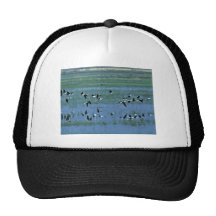 Humbolt Bay National Wildlife Refuge Hats