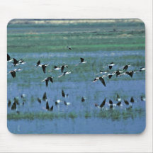 Humbolt Bay National Wildlife Refuge Mousepad