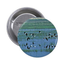 Humbolt Bay National Wildlife Refuge Pins