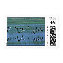 Humbolt Bay National Wildlife Refuge Postage