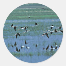 Humbolt Bay National Wildlife Refuge Stickers