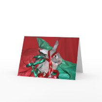 Humbug Christmas bunny Greeting Cards