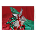 Humbug Christmas bunny Greeting Cards