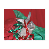 Humbug Christmas bunny postcards by deemac1 Humbug Christmas bunny postcards
