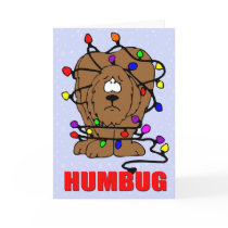 Humbug Christmas Greeting Cards
